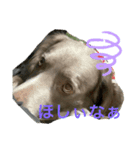 ジャックvol.1（個別スタンプ：1）
