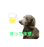 ジャックvol.1（個別スタンプ：3）