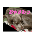 ジャックvol.1（個別スタンプ：4）
