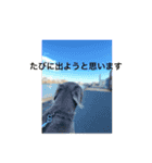 ジャックvol.1（個別スタンプ：7）