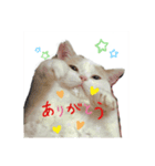 ぷっちとまろ（個別スタンプ：1）