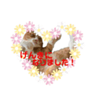 ぷっちとまろ（個別スタンプ：2）