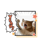 ぷっちとまろ（個別スタンプ：3）