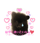 テンシンたつのり③（個別スタンプ：5）