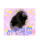 テンシンたつのり③（個別スタンプ：11）
