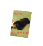 テンシンたつのり③（個別スタンプ：12）