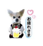 チィーぐらし（個別スタンプ：2）