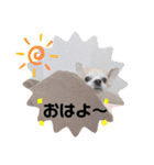 チィーぐらし（個別スタンプ：3）