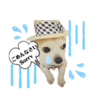 チィーぐらし（個別スタンプ：12）