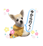 チィーぐらし（個別スタンプ：18）
