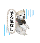 チィーぐらし（個別スタンプ：21）