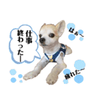 チィーぐらし（個別スタンプ：27）