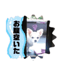 チィーぐらし（個別スタンプ：30）