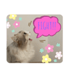 マニ（個別スタンプ：8）