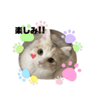 マニ（個別スタンプ：9）