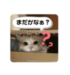 マニ（個別スタンプ：18）