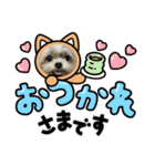 シェリちゃんファミリー3（個別スタンプ：5）