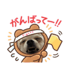シェリちゃんファミリー3（個別スタンプ：12）