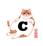 手話指文字・点字アート 英語（ネコ）（個別スタンプ：3）