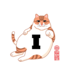 手話指文字・点字アート 英語（ネコ）（個別スタンプ：9）