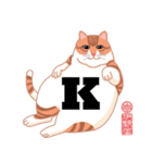 手話指文字・点字アート 英語（ネコ）（個別スタンプ：11）