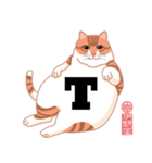 手話指文字・点字アート 英語（ネコ）（個別スタンプ：20）