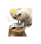 まるvol.1（個別スタンプ：6）