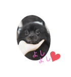 テンシンさゆり④（個別スタンプ：3）