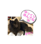 テンシンさゆり④（個別スタンプ：8）