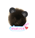 テンシンさゆり④（個別スタンプ：9）