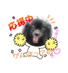 テンシンさゆり④（個別スタンプ：15）