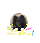 テンシンさゆり④（個別スタンプ：16）