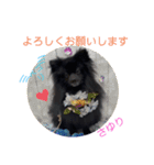 テンシンさゆり④（個別スタンプ：19）