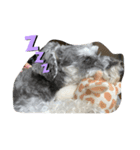 ‎ ૮ • ·̫ • ა（個別スタンプ：2）