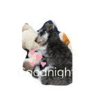 ‎ ૮ • ·̫ • ა（個別スタンプ：6）