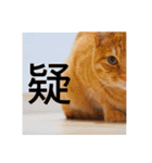 ころん。Part2（個別スタンプ：10）