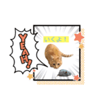 ころん。Part2（個別スタンプ：13）