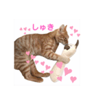 ころん。Part2（個別スタンプ：14）