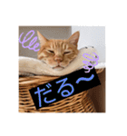 ころん。Part2（個別スタンプ：15）