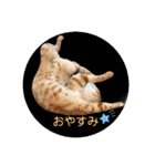 ころん。Part2（個別スタンプ：16）