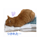 ころん。Part2（個別スタンプ：19）