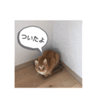 ころん。Part2（個別スタンプ：21）