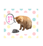 ころん。Part2（個別スタンプ：24）
