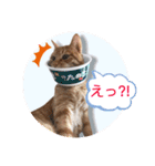 ころん。Part2（個別スタンプ：26）