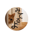 ころん。Part2（個別スタンプ：27）