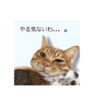 ころん。Part2（個別スタンプ：28）
