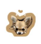 viviのstamp（個別スタンプ：4）