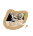 viviのstamp（個別スタンプ：6）
