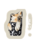 viviのstamp（個別スタンプ：14）