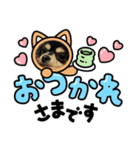 チワワのQちゃん（個別スタンプ：3）